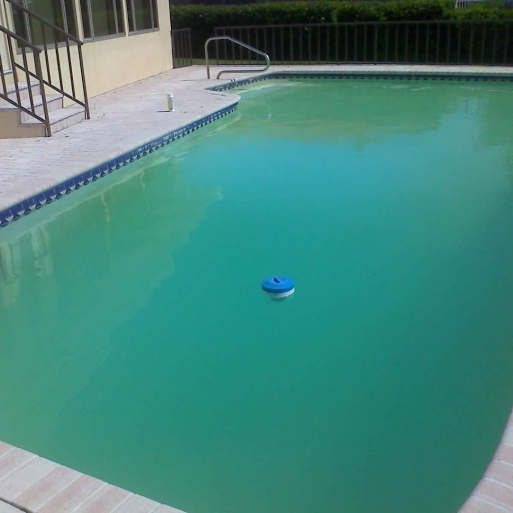 Difícil manter sua piscina limpa