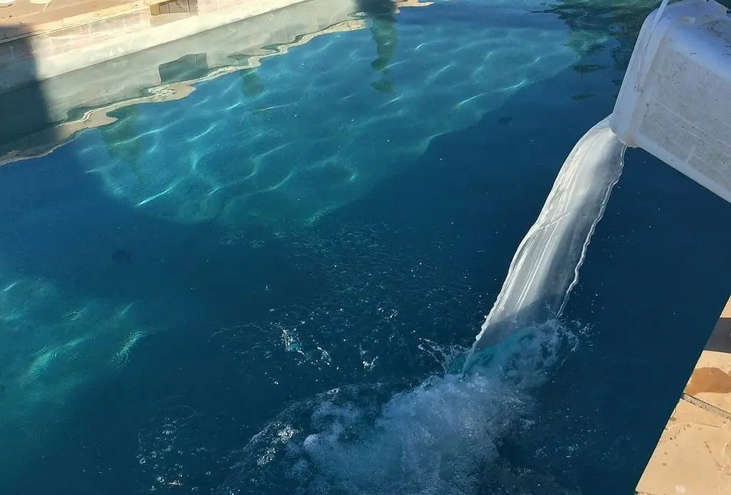 Como adicionar cloro na piscina